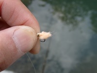 秩父フライフィールド 釣果