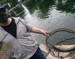 フィッシング サンクチュアリ 釣果