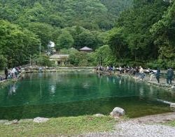 フィッシング サンクチュアリ 釣果