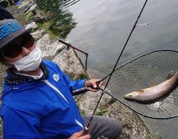 フィッシング サンクチュアリ 釣果