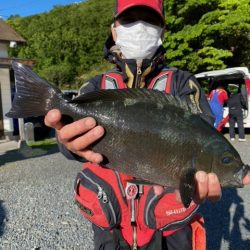 千津丸 釣果