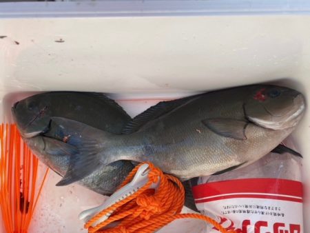 千津丸 釣果