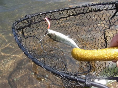 平谷湖フィッシングスポット 釣果
