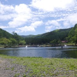 平谷湖フィッシングスポット 釣果