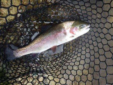 平谷湖フィッシングスポット 釣果