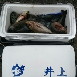 正福丸 釣果