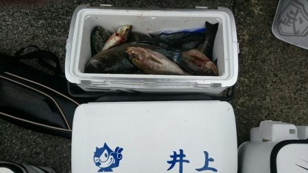 正福丸 釣果