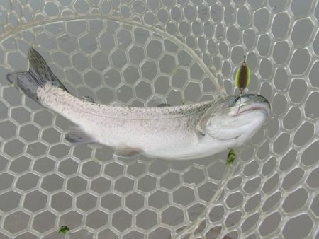 平谷湖フィッシングスポット 釣果