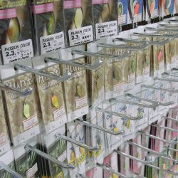 平谷湖フィッシングスポット 釣果