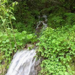 平谷湖フィッシングスポット 釣果