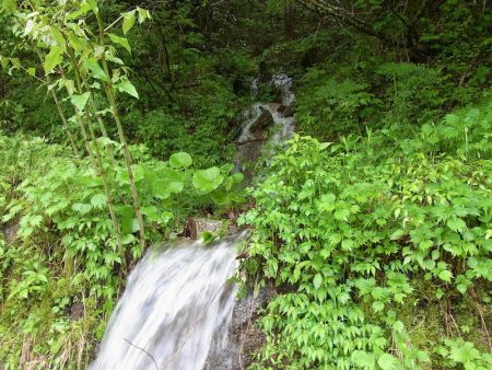 平谷湖フィッシングスポット 釣果