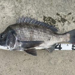 イチノ兄弟、釣果！