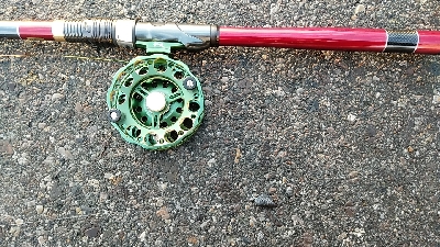 隔週でクロダイのはずが