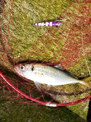 久しぶりの釣行