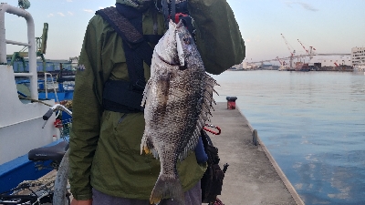 マイクロベイトを求めて