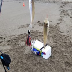 今日も満足しました