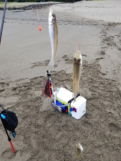 今日も満足しました