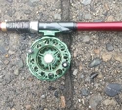 クロダイ連チャン