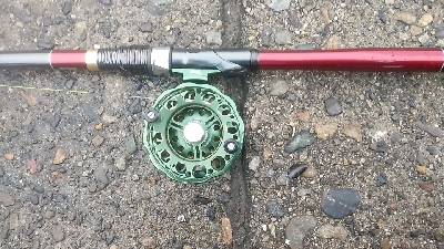 クロダイ連チャン