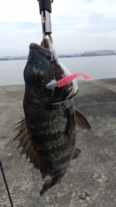 フラット狙いなのに。。。