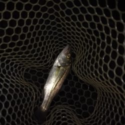 2021釣行投稿NO.5