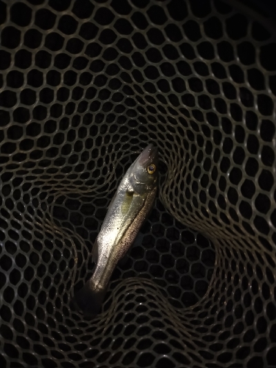 2021釣行投稿NO.5