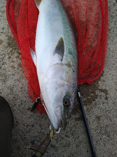 2021釣行投稿NO.7