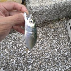 2021釣行投稿№8