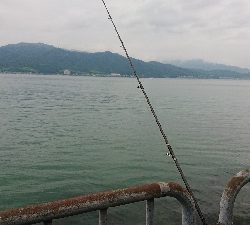 梅雨の中・・・