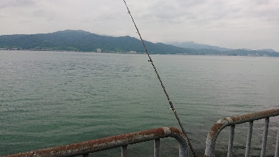 梅雨の中・・・