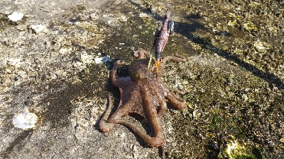 昼からでも行けます