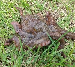 昼からでも何とか