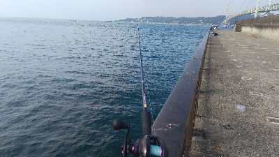 とりあえずボウズ逃れ