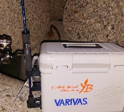 メバリング終わり? 小鯖湧きすぎ