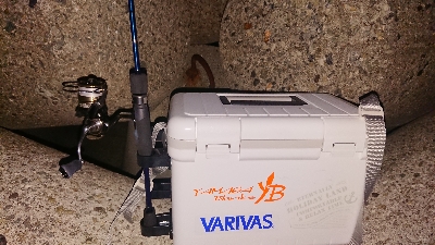 メバリング終わり？ 小鯖湧きすぎ