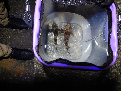 小さいけど短時間で