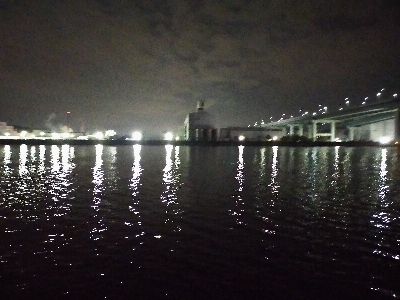 今年初　グレ調査