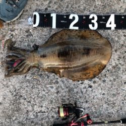 仕事帰りのエギング！