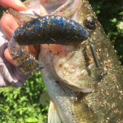 流れのヨレを狙って