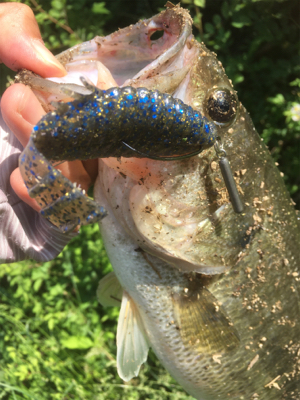 流れのヨレを狙って