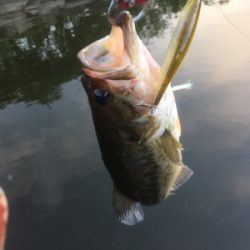 厳しいながらも