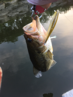 厳しいながらも