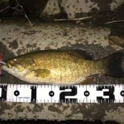 新規ポイント開拓(=ﾟωﾟ)ﾉ