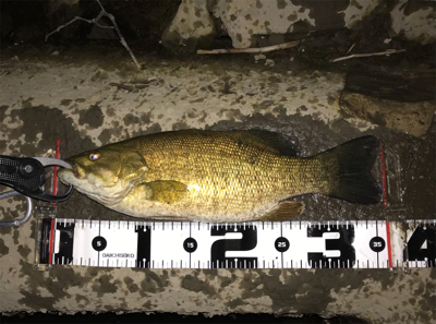 新規ポイント開拓(=ﾟωﾟ)ﾉ