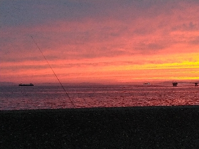 本日のお試しは、イカの塩辛！