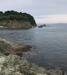 カゴ釣りでタイ!