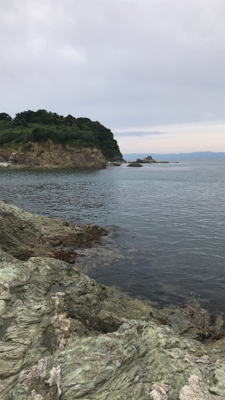 カゴ釣りでタイ!