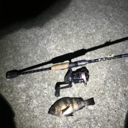 メバリング 第二弾