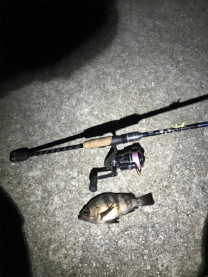 メバリング 第二弾