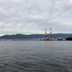 たまには癒されに行こう